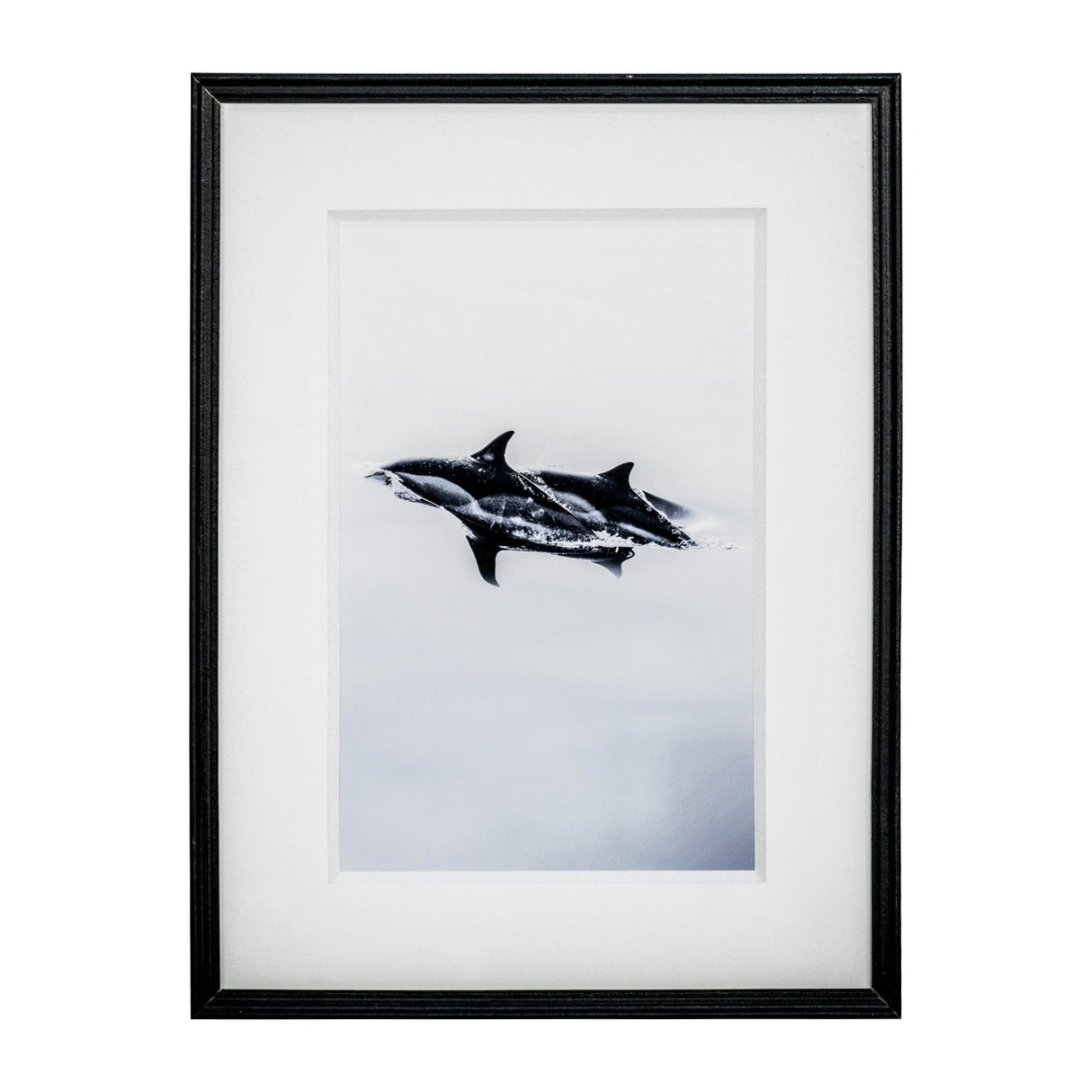 Cuadro Nórdico Delfines del mar