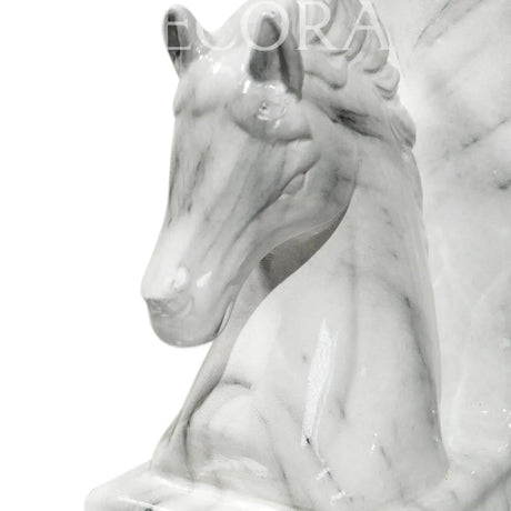 ASUJETA LIBRO DE CABALLOS