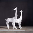 Jirafa Northern Kelida Porcelana