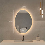Espejo Led Ovalo